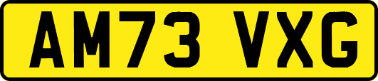 AM73VXG