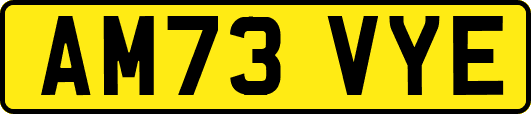 AM73VYE