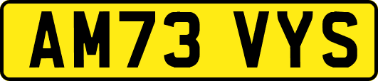 AM73VYS