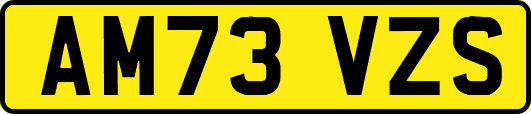 AM73VZS