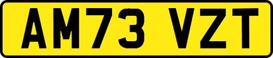 AM73VZT