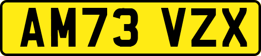AM73VZX