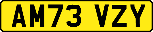 AM73VZY