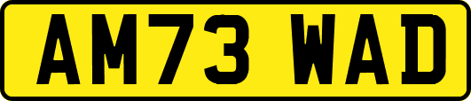 AM73WAD