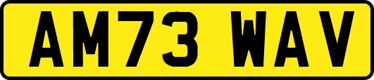 AM73WAV
