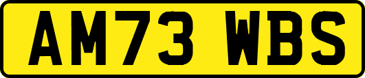 AM73WBS