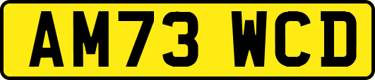 AM73WCD