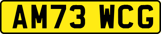 AM73WCG