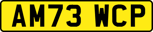 AM73WCP