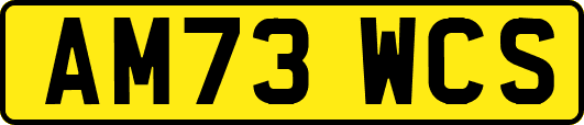 AM73WCS