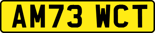 AM73WCT
