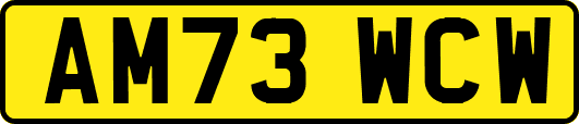 AM73WCW