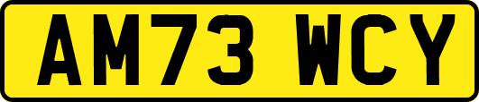 AM73WCY