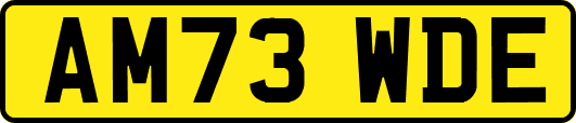 AM73WDE