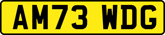 AM73WDG