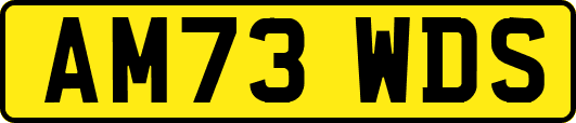 AM73WDS