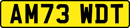 AM73WDT