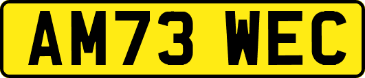 AM73WEC