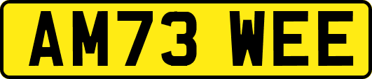 AM73WEE