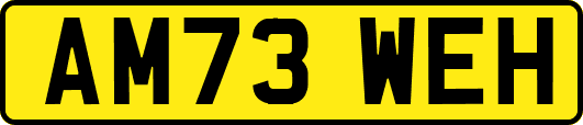 AM73WEH