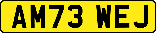 AM73WEJ