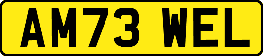 AM73WEL