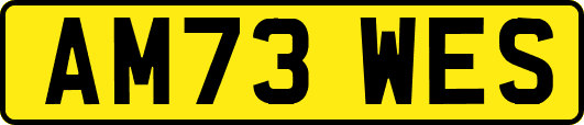 AM73WES