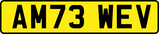 AM73WEV
