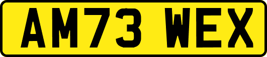 AM73WEX