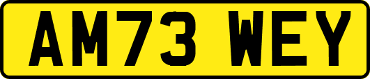 AM73WEY