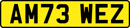 AM73WEZ