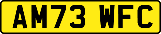 AM73WFC
