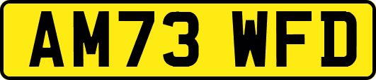 AM73WFD