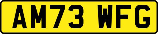AM73WFG