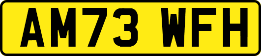 AM73WFH