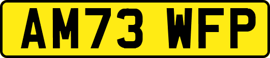AM73WFP