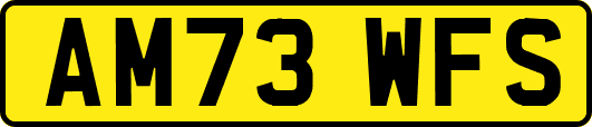 AM73WFS