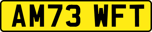 AM73WFT