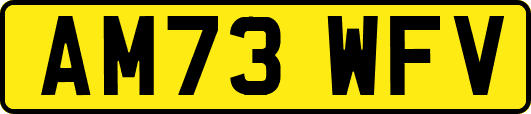 AM73WFV