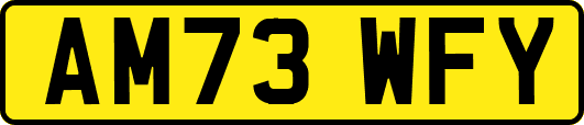 AM73WFY