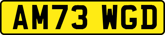 AM73WGD