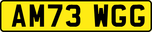 AM73WGG