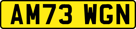 AM73WGN