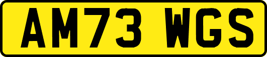 AM73WGS