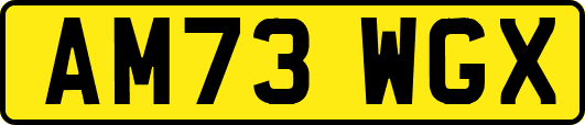 AM73WGX