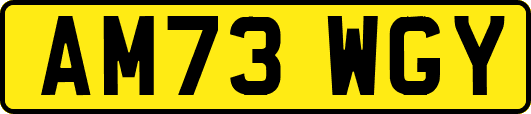 AM73WGY