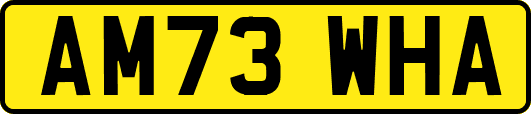 AM73WHA