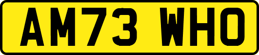 AM73WHO