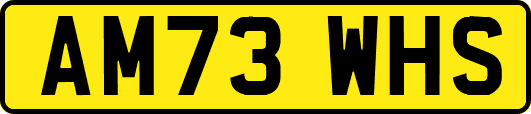 AM73WHS