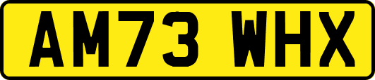 AM73WHX